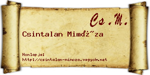 Csintalan Mimóza névjegykártya